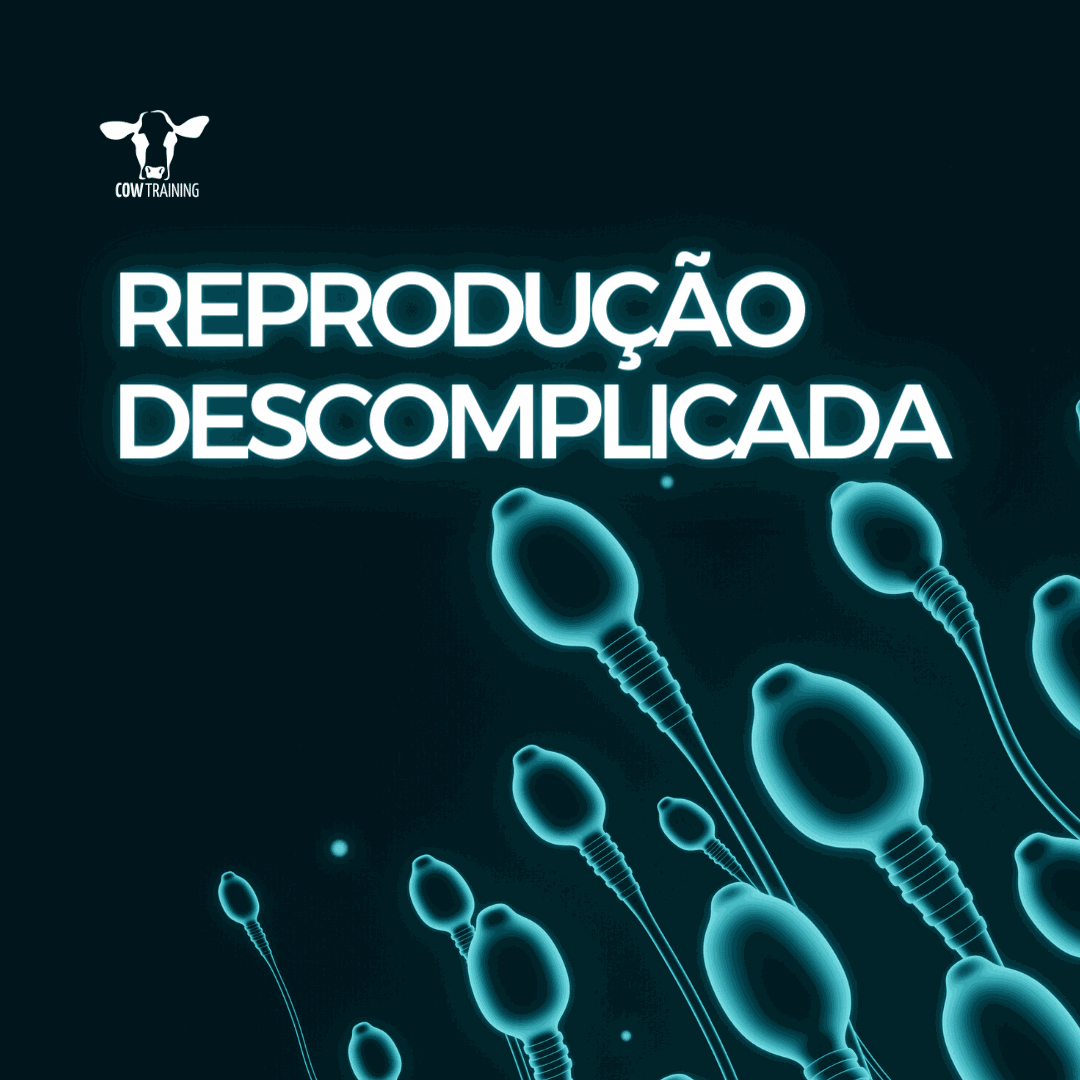 cupom reprodução decomplicada