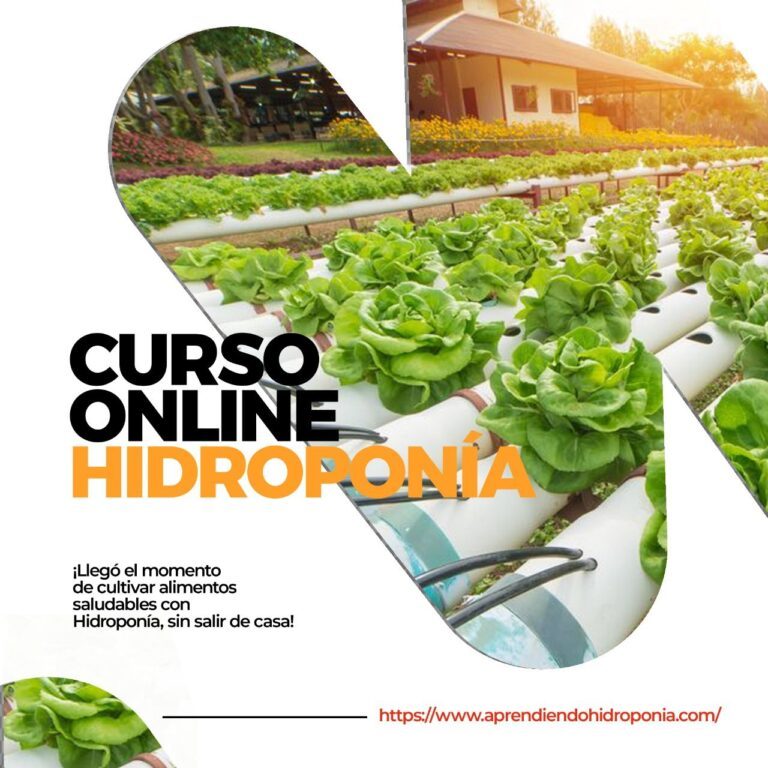 cupón de descuento curso completo de hidroponia