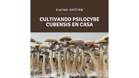 cupón de descuento Aprende a cultivar Psilocybe Cubensis