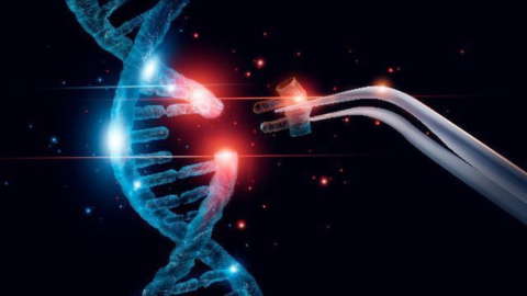 Sacred Genetics Regenerate and activate your spiritual DNA discount coupon