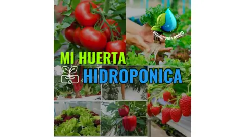 cupón de descuento Mi Huerta HIDROPONICA